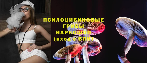 хмурый Липки