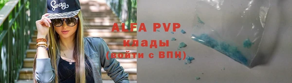 a pvp Магас