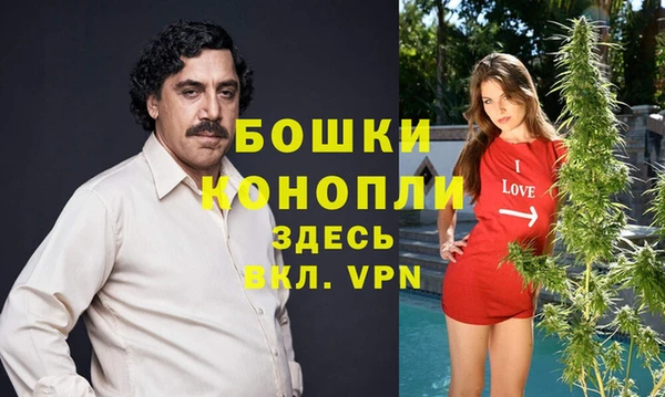 хмурый Липки