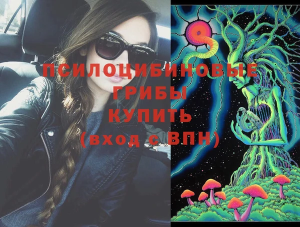 хмурый Липки