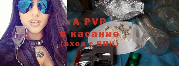 хмурый Липки