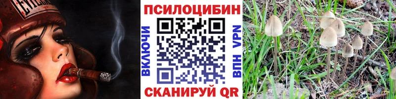 Псилоцибиновые грибы ЛСД  Стародуб 